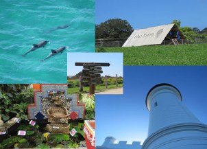 Byron Bay Tour