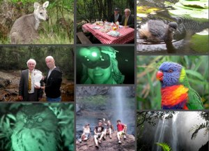 2 day Hinterland Package