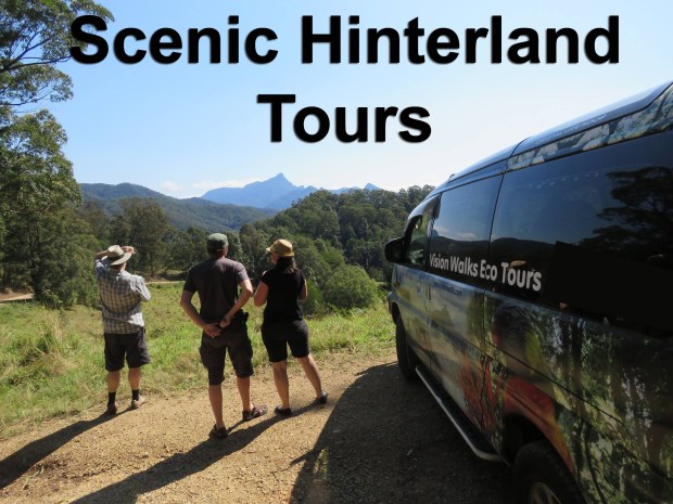 Scenic Hinterland and Cultural Tours