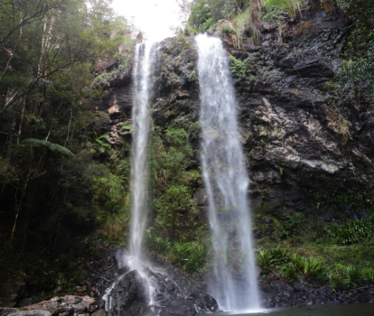 springbrook waterfall adventure sq